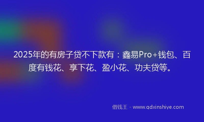 2025年的有房子贷不下款有：鑫易Pro+钱包、百度有钱花、享下花、盈小花、功夫贷等。