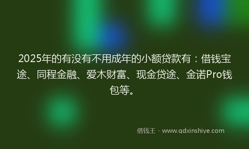 2025年的有没有不用成年的小额贷款有：借钱宝途、同程金融、爱木财富、现金贷途、金诺Pro钱包等。