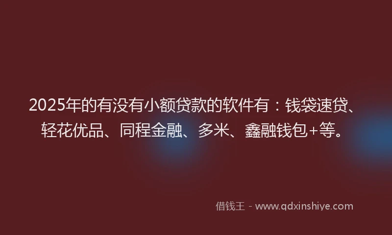 2025年的有没有小额贷款的软件有：钱袋速贷、轻花优品、同程金融、多米、鑫融钱包+等。
