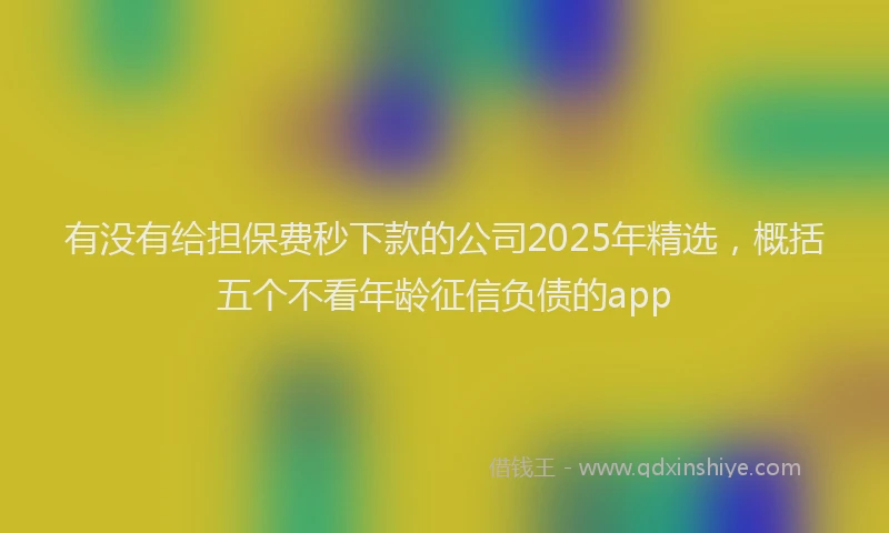 有没有给担保费秒下款的公司2025年精选，概括五个不看年龄征信负债的app
