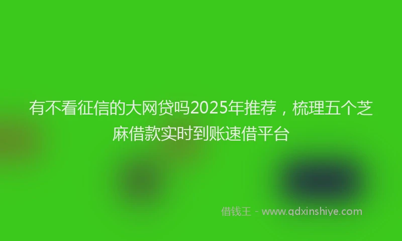 有不看征信的大网贷吗2025年推荐，梳理五个芝麻借款实时到账速借平台