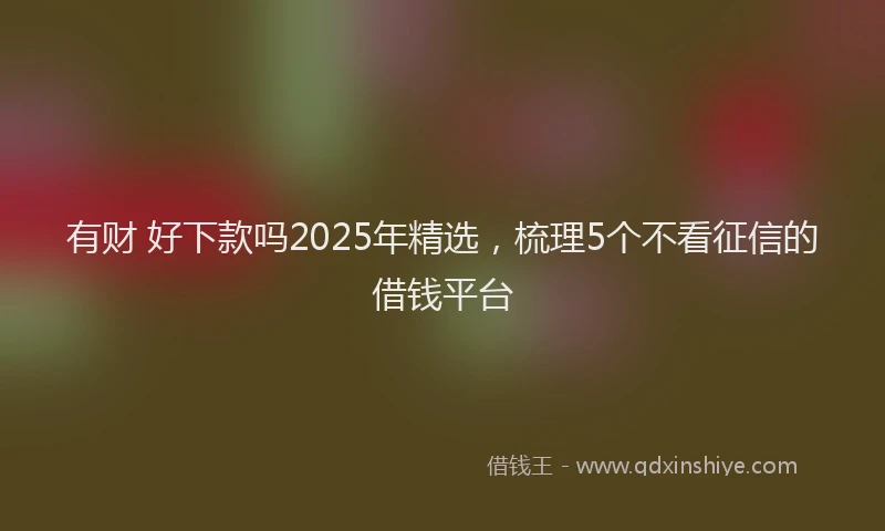 有财 好下款吗2025年精选，梳理5个不看征信的借钱平台