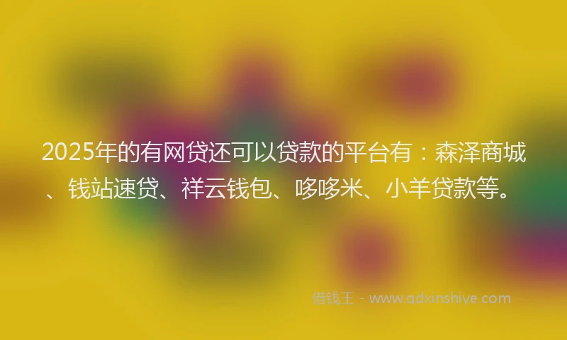 2025年的有网贷还可以贷款的平台有：森泽商城、钱站速贷、祥云钱包、哆哆米、小羊贷款等。
