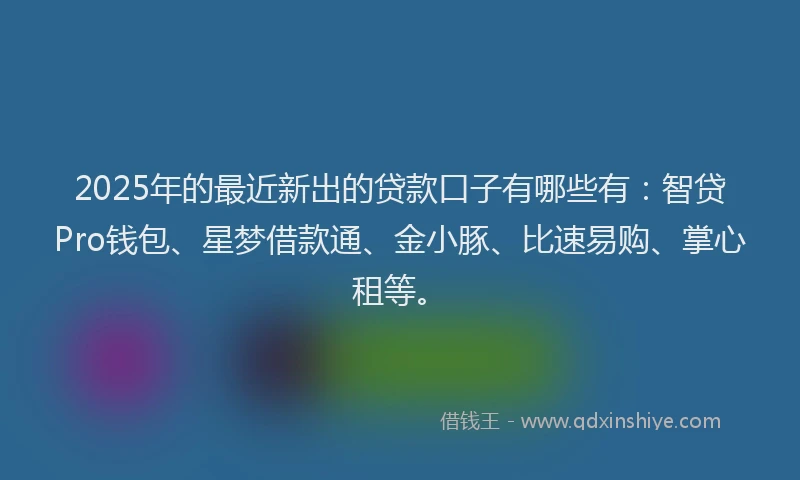 2025年的最近新出的贷款口子有哪些有：智贷Pro钱包、星梦借款通、金小豚、比速易购、掌心租等。