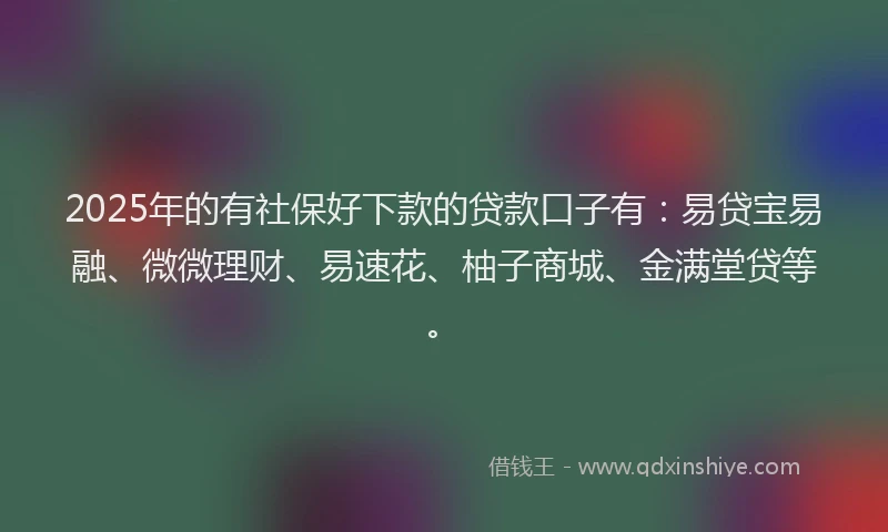 2025年的有社保好下款的贷款口子有：易贷宝易融、微微理财、易速花、柚子商城、金满堂贷等。