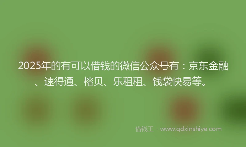 2025年的有可以借钱的微信公众号有：京东金融、速得通、榕贝、乐租租、钱袋快易等。