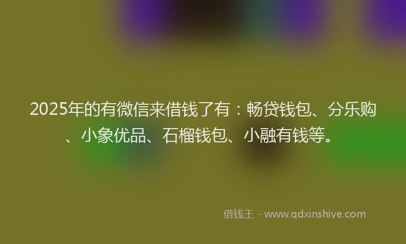 2025年的有微信来借钱了有：畅贷钱包、分乐购、小象优品、石榴钱包、小融有钱等。