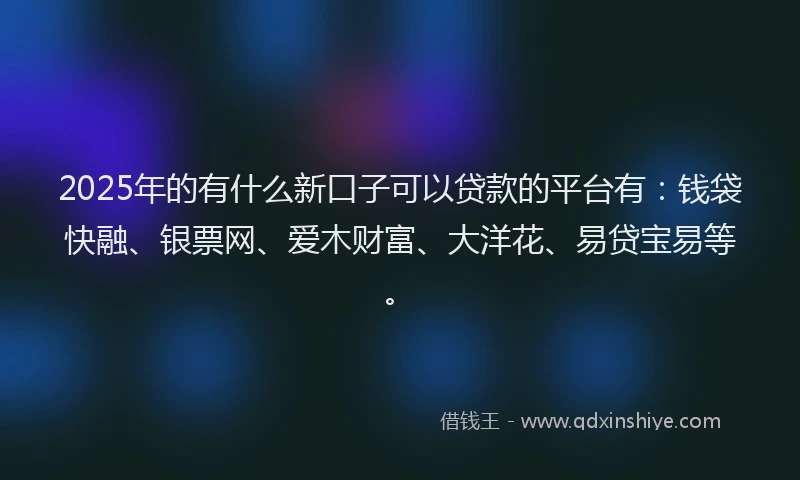 2025年的有什么新口子可以贷款的平台有：钱袋快融、银票网、爱木财富、大洋花、易贷宝易等。