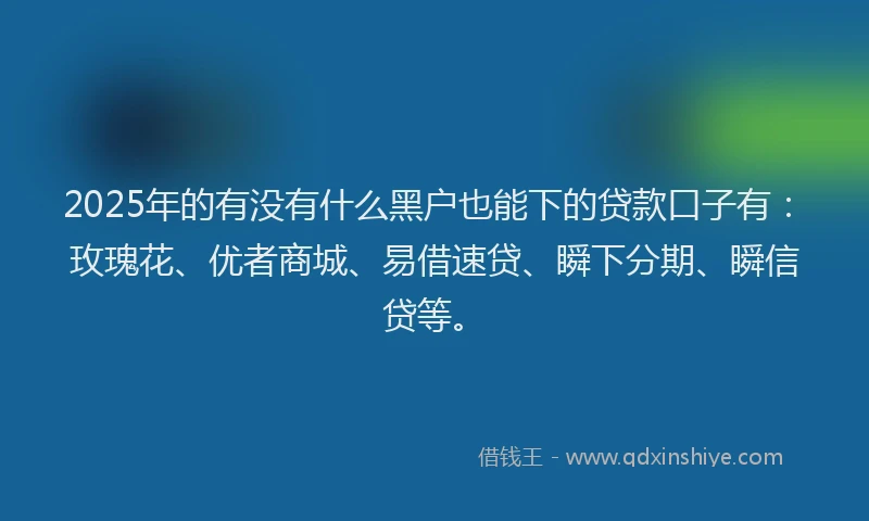 2025年的有没有什么黑户也能下的贷款口子有：玫瑰花、优者商城、易借速贷、瞬下分期、瞬信贷等。