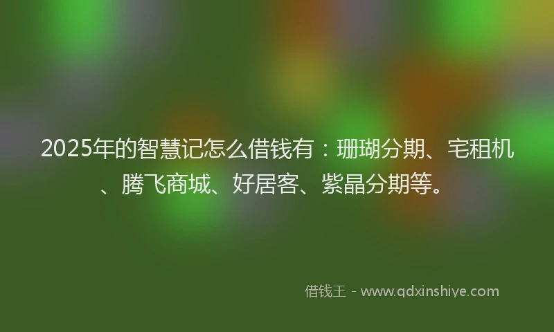 2025年的智慧记怎么借钱有：珊瑚分期、宅租机、腾飞商城、好居客、紫晶分期等。