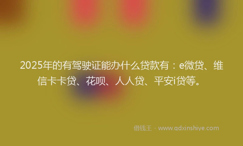 2025年的有驾驶证能办什么贷款有：e微贷、维信卡卡贷、花呗、人人贷、平安i贷等。