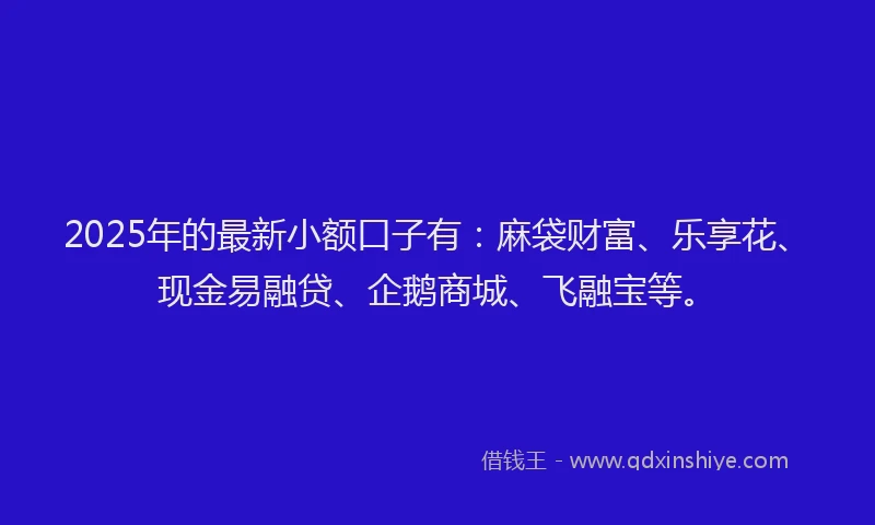 2025年的最新小额口子有：麻袋财富、乐享花、现金易融贷、企鹅商城、飞融宝等。