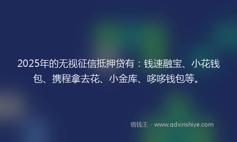 2025年的无视征信抵押贷有：钱速融宝、小花钱包、携程拿去花、小金库、哆哆钱包等。