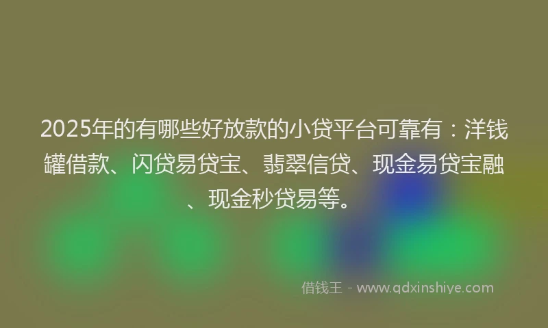 2025年的有哪些好放款的小贷平台可靠有：洋钱罐借款、闪贷易贷宝、翡翠信贷、现金易贷宝融、现金秒贷易等。