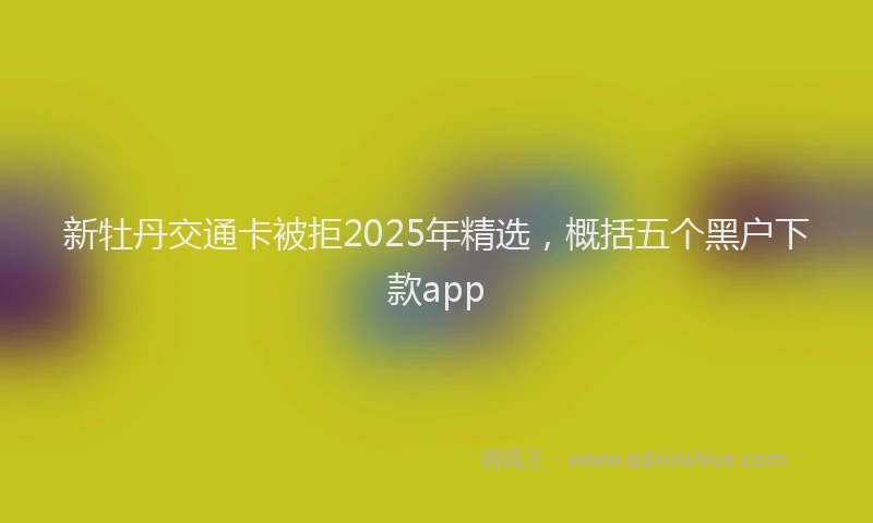 新牡丹交通卡被拒2025年精选，概括五个黑户下款app