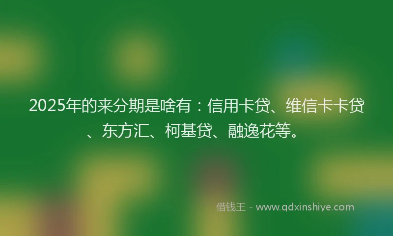2025年的来分期是啥有：信用卡贷、维信卡卡贷、东方汇、柯基贷、融逸花等。
