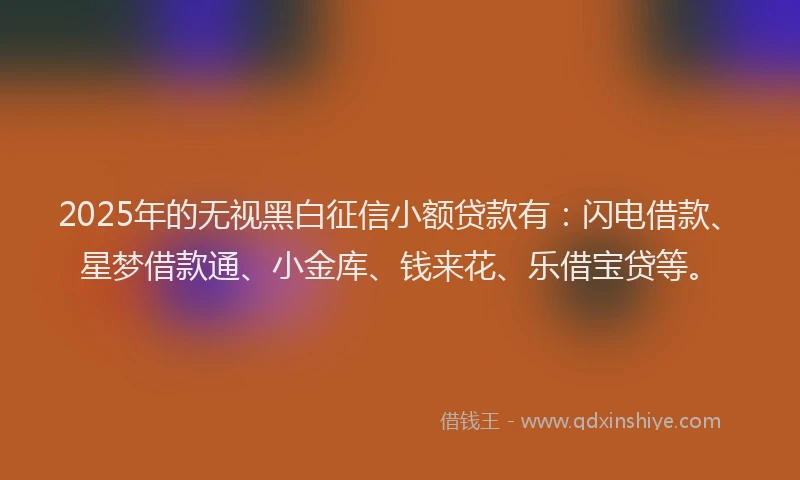 2025年的无视黑白征信小额贷款有：闪电借款、星梦借款通、小金库、钱来花、乐借宝贷等。