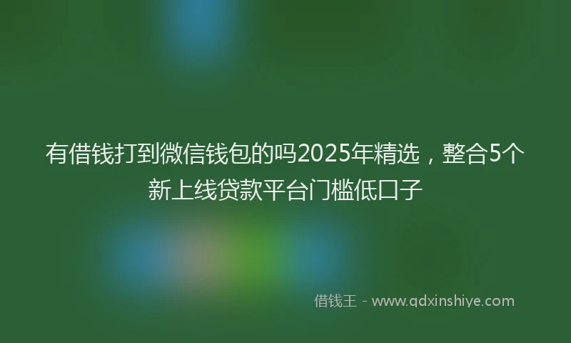 有借钱打到微信钱包的吗2025年精选，整合5个新上线贷款平台门槛低口子
