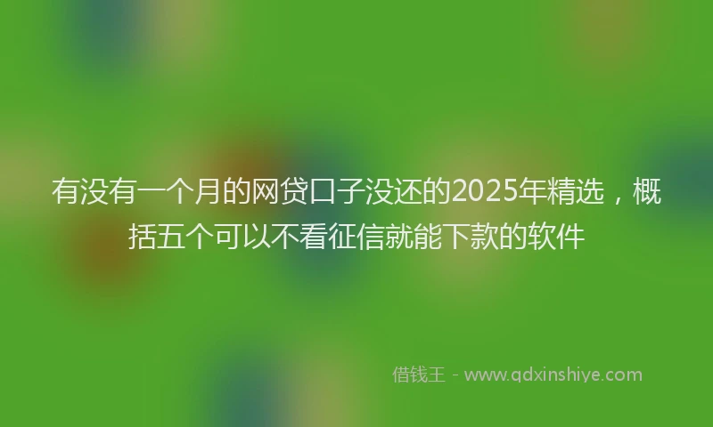 有没有一个月的网贷口子没还的2025年精选，概括五个可以不看征信就能下款的软件