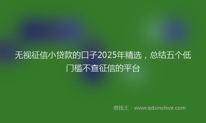 无视征信小贷款的口子2025年精选，总结五个低门槛不查征信的平台