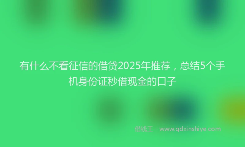 有什么不看征信的借贷2025年推荐，总结5个手机身份证秒借现金的口子
