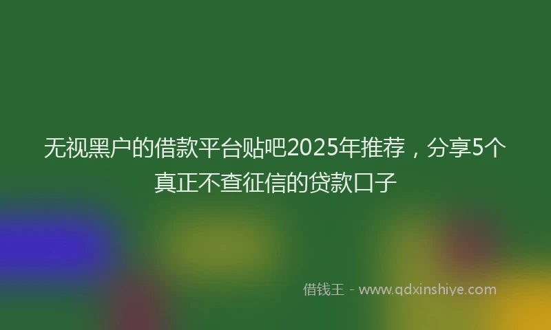 无视黑户的借款平台贴吧2025年推荐，分享5个真正不查征信的贷款口子