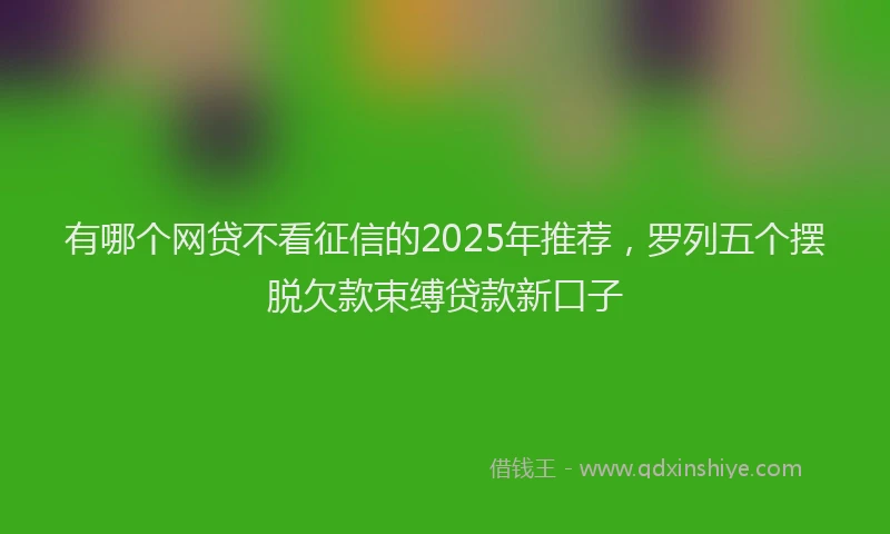 有哪个网贷不看征信的2025年推荐，罗列五个摆脱欠款束缚贷款新口子