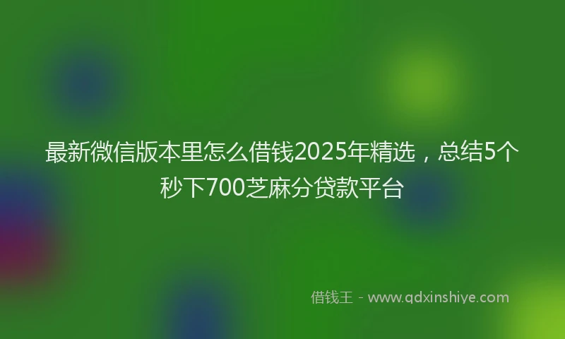 最新微信版本里怎么借钱2025年精选，总结5个秒下700芝麻分贷款平台