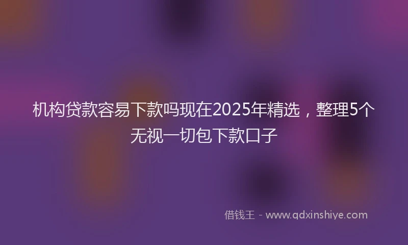 机构贷款容易下款吗现在2025年精选，整理5个无视一切包下款口子