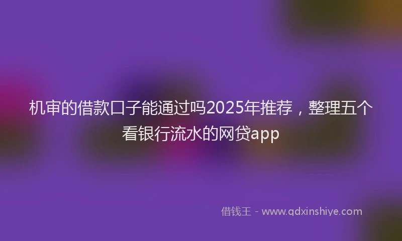 机审的借款口子能通过吗2025年推荐，整理五个看银行流水的网贷app