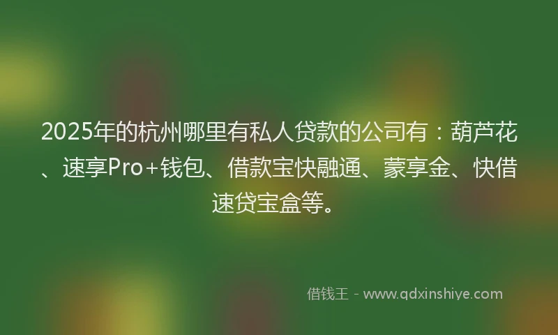 2025年的杭州哪里有私人贷款的公司有：葫芦花、速享Pro+钱包、借款宝快融通、蒙享金、快借速贷宝盒等。