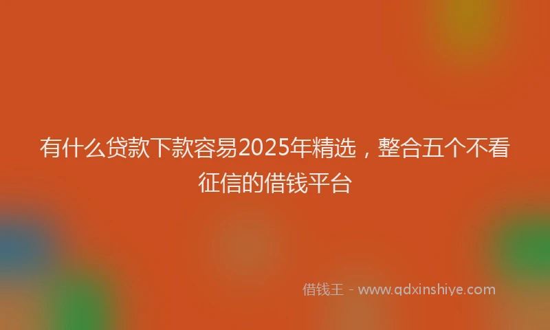 有什么贷款下款容易2025年精选，整合五个不看征信的借钱平台