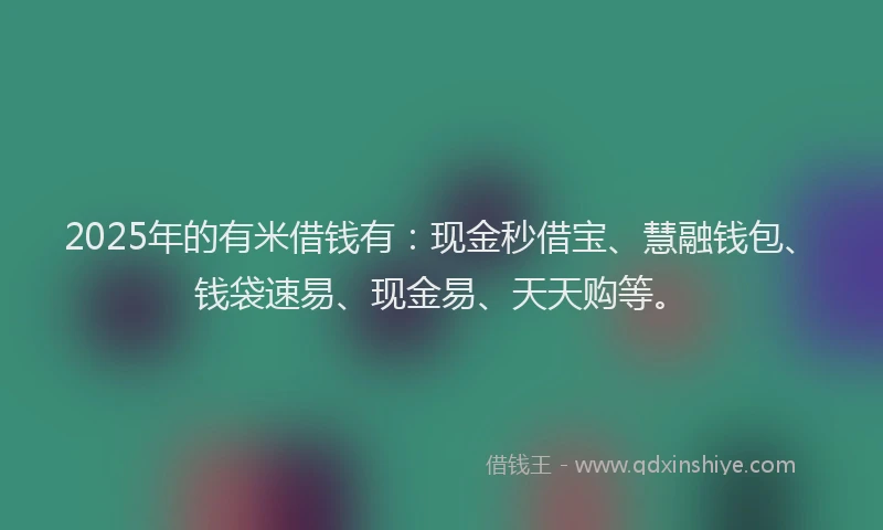 2025年的有米借钱有：现金秒借宝、慧融钱包、钱袋速易、现金易、天天购等。