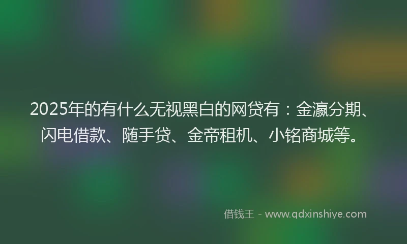 2025年的有什么无视黑白的网贷有：金瀛分期、闪电借款、随手贷、金帝租机、小铭商城等。