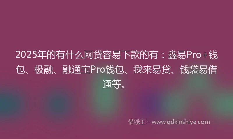 2025年的有什么网贷容易下款的有：鑫易Pro+钱包、极融、融通宝Pro钱包、我来易贷、钱袋易借通等。