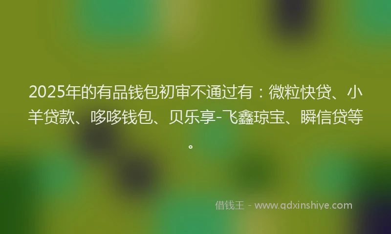 2025年的有品钱包初审不通过有：微粒快贷、小羊贷款、哆哆钱包、贝乐享-飞鑫琼宝、瞬信贷等。