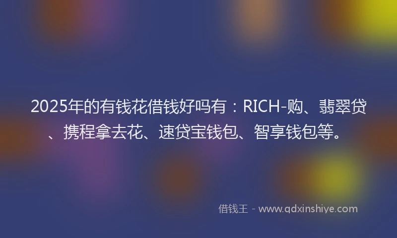 2025年的有钱花借钱好吗有：RICH-购、翡翠贷、携程拿去花、速贷宝钱包、智享钱包等。