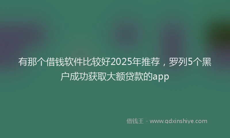 有那个借钱软件比较好2025年推荐，罗列5个黑户成功获取大额贷款的app