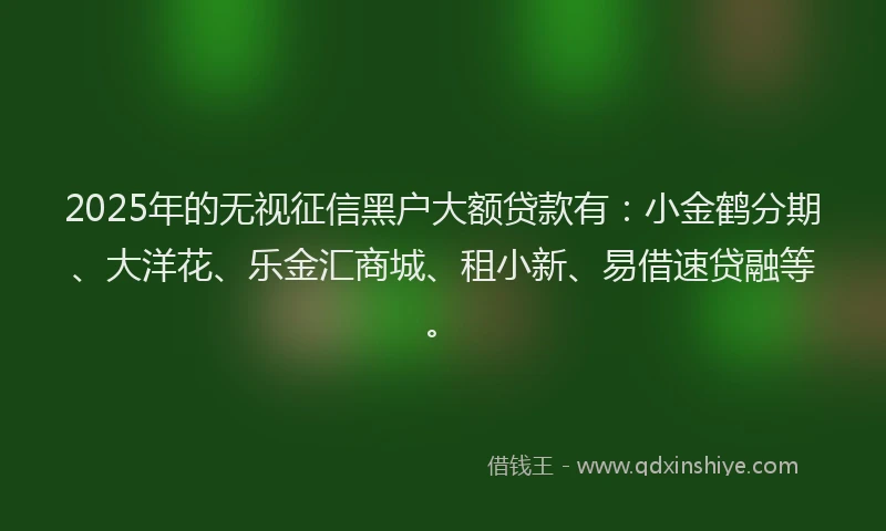 2025年的无视征信黑户大额贷款有：小金鹤分期、大洋花、乐金汇商城、租小新、易借速贷融等。