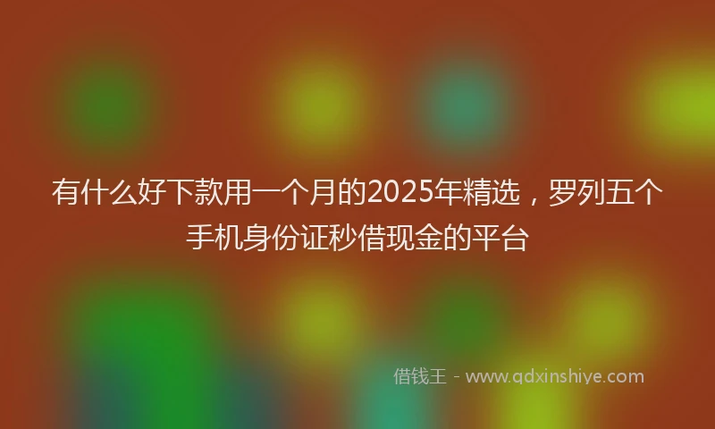 有什么好下款用一个月的2025年精选，罗列五个手机身份证秒借现金的平台