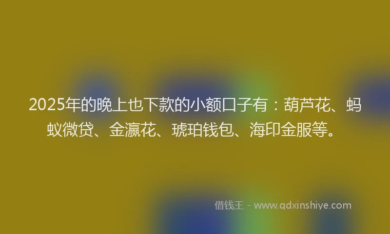 2025年的晚上也下款的小额口子有：葫芦花、蚂蚁微贷、金瀛花、琥珀钱包、海印金服等。