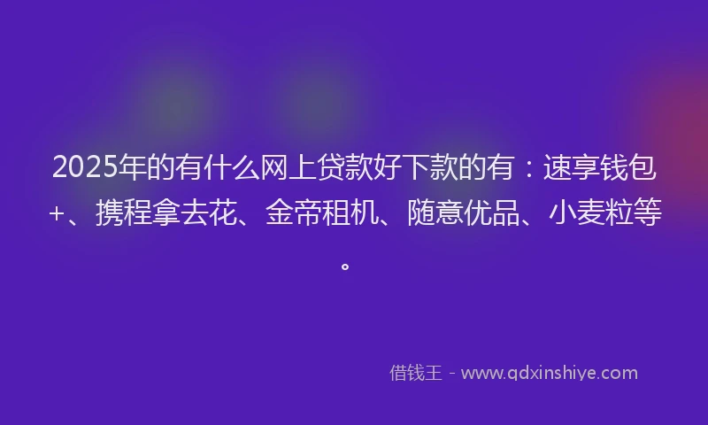 2025年的有什么网上贷款好下款的有：速享钱包+、携程拿去花、金帝租机、随意优品、小麦粒等。