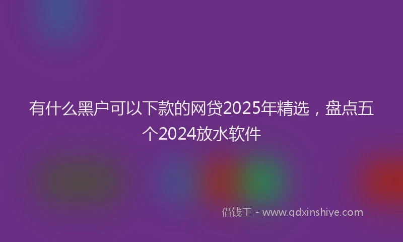 有什么黑户可以下款的网贷2025年精选，盘点五个2024放水软件