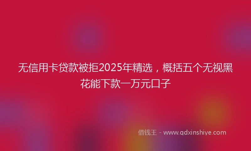 无信用卡贷款被拒2025年精选，概括五个无视黑花能下款一万元口子