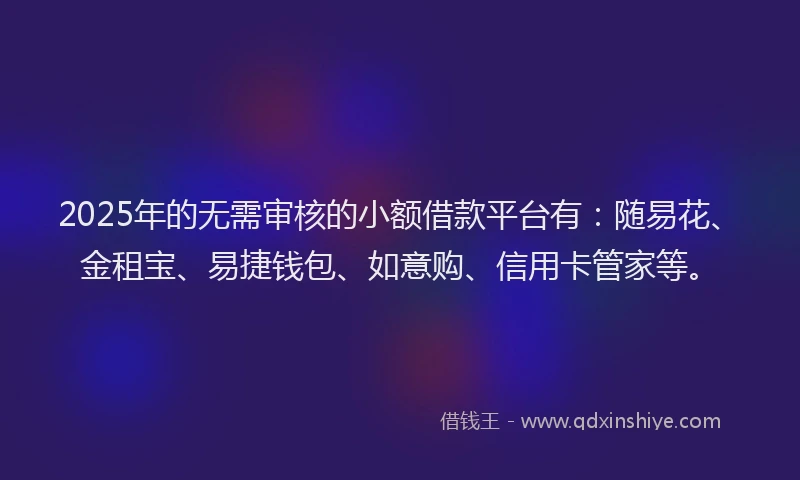 2025年的无需审核的小额借款平台有：随易花、金租宝、易捷钱包、如意购、信用卡管家等。