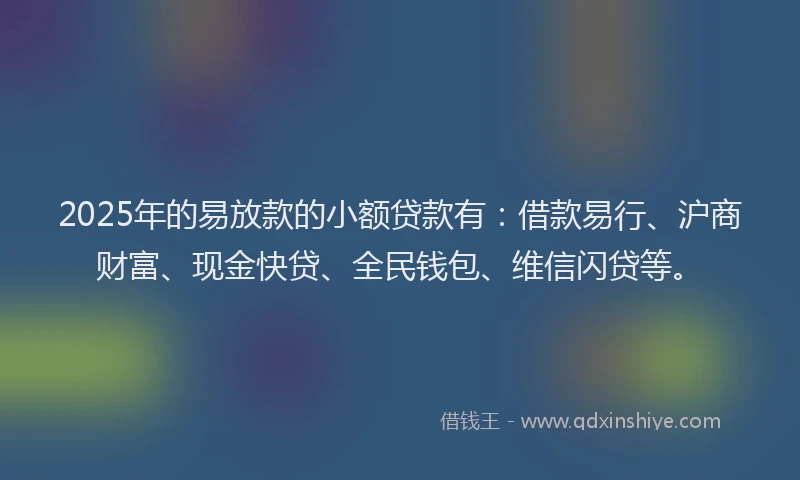 2025年的易放款的小额贷款有：借款易行、沪商财富、现金快贷、全民钱包、维信闪贷等。