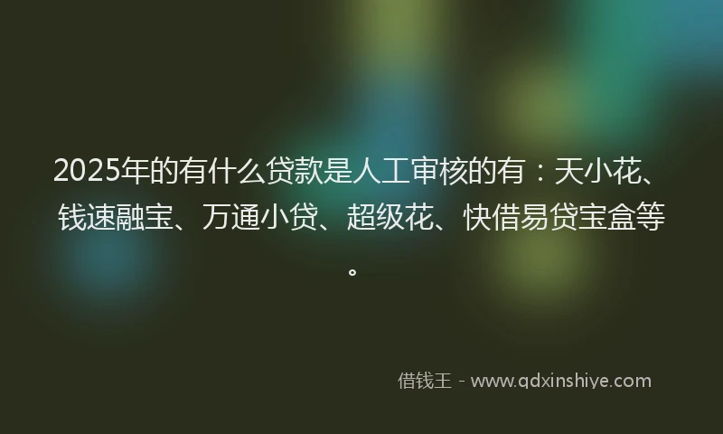 2025年的有什么贷款是人工审核的有：天小花、钱速融宝、万通小贷、超级花、快借易贷宝盒等。
