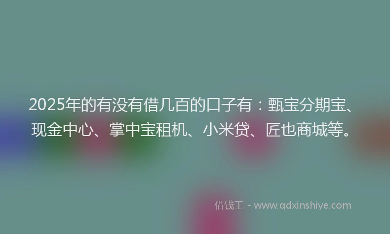 2025年的有没有借几百的口子有：甄宝分期宝、现金中心、掌中宝租机、小米贷、匠也商城等。