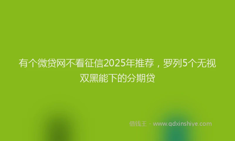 有个微贷网不看征信2025年推荐，罗列5个无视双黑能下的分期贷