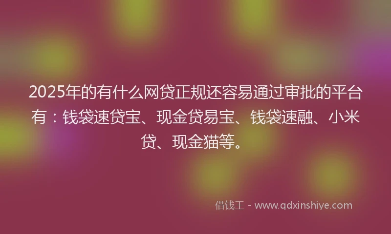 2025年的有什么网贷正规还容易通过审批的平台有：钱袋速贷宝、现金贷易宝、钱袋速融、小米贷、现金猫等。